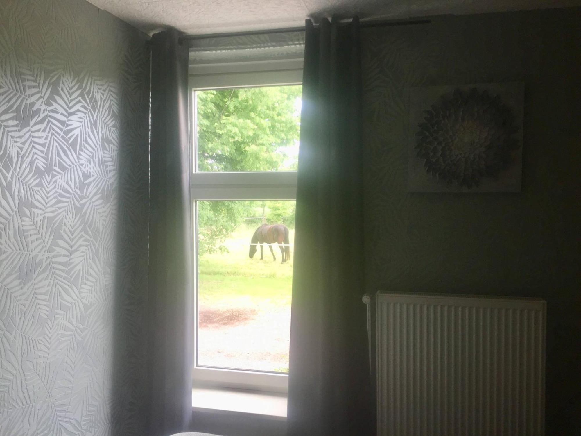 Villa Steinhaus Hof Bunde  Esterno foto