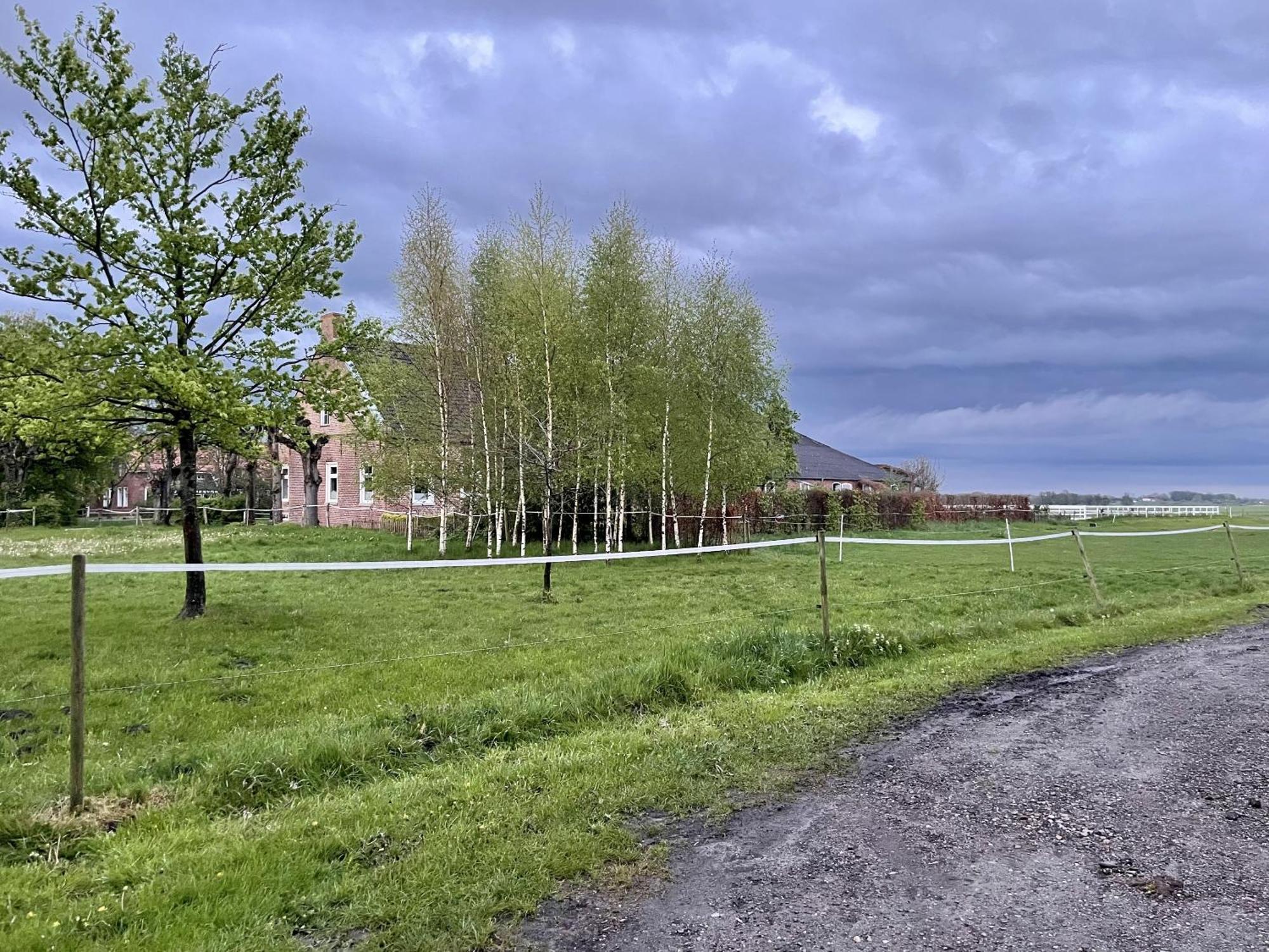 Villa Steinhaus Hof Bunde  Esterno foto