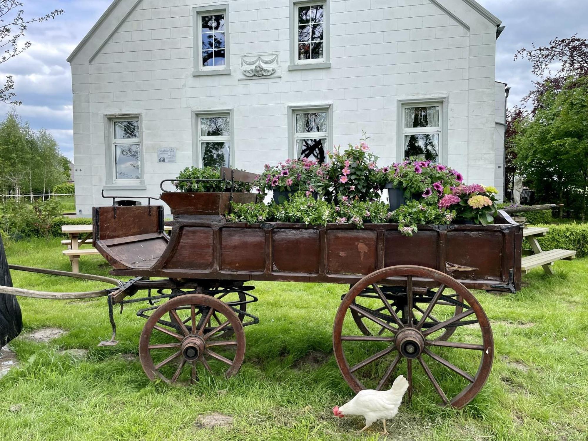Villa Steinhaus Hof Bunde  Esterno foto